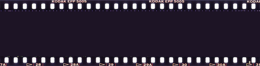 Drug Town Girl (Digital Download)